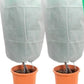 ❄️ Proteção contra a geada para plantas | Proteção para o jardim no inverno