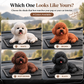 Enfeite de carro em forma de poodle – A decoração mais gira para o painel de instrumentos 🐶✨