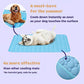 🌞🐱Promoção de Verão: 49% de desconto🧊Tapete refrescante premium para animais de estimação🐶