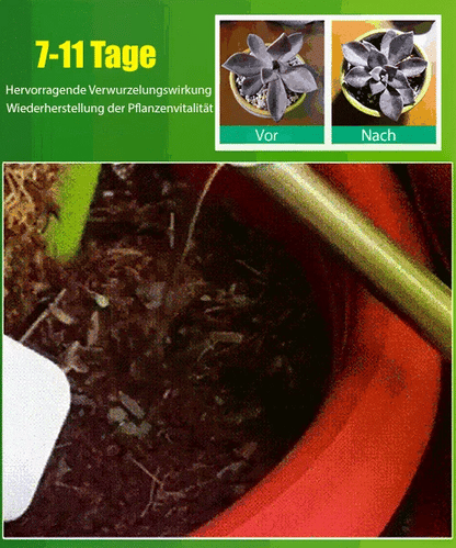 🌿🌱Achetez 3 pour 5 (8 bouteilles)🌼 Boostez Vos Plantes Et Vos Économies