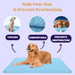 🌞🐱Promoção de Verão: 49% de desconto🧊Tapete refrescante premium para animais de estimação🐶