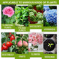🔥Compre 2 e ganhe 1 grátis (3 unidades)🔥Solução nutritiva para plantas