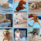 🌞🐱Promoção de Verão: 49% de desconto🧊Tapete refrescante premium para animais de estimação🐶