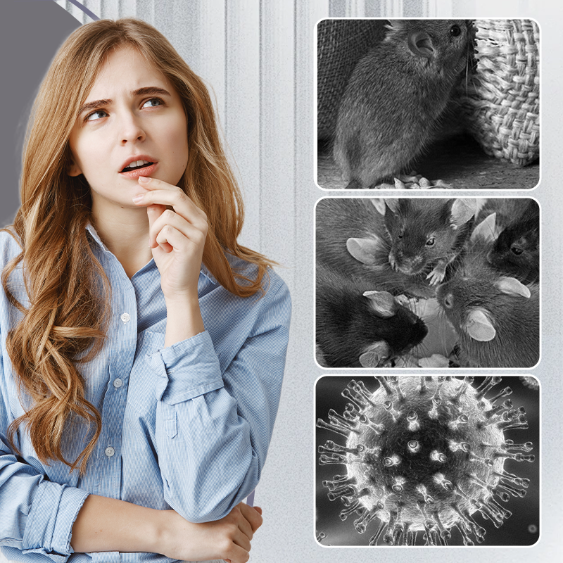 🐁Tapis collants extra larges pour rats