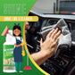 Limpeza e proteção do interior do carro