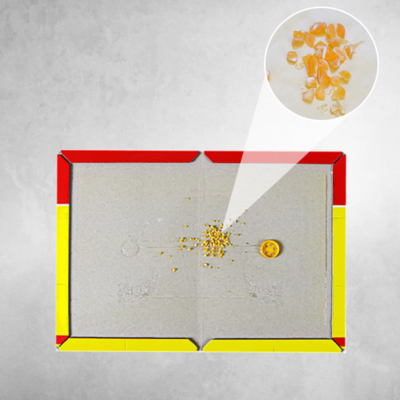 🐁Tapis collants extra larges pour rats