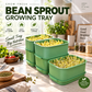 🌱 Stackable Bean Sprout Grower Box with Lid