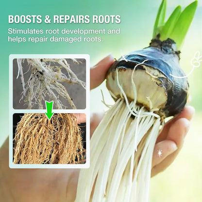 🔥Solution nutritive hydroponique pour la croissance des plantes☘️Offre limitée : plus que 30 articles disponibles !🚚🚚