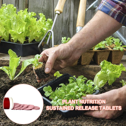 Multipurpose Slow-Release Tablet Fertilizer for Plants