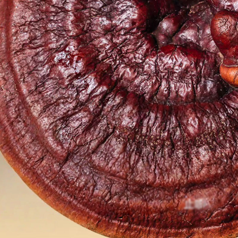 Spray raffermissant et éclat anti-âge🧬✨