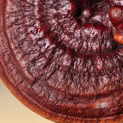 Spray raffermissant et éclat anti-âge🧬✨