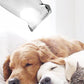 Máquina de barbear elétrica segura para animais de estimação com luz LED