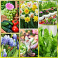 🌱 Barras de fertilizante de longa duração – NPK equilibrado para raízes, folhas e flores!  🌿✨