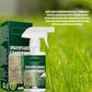 🔥Promoção de último dia: 50% de desconto🔥Tinta em spray «Grass»🌿✅