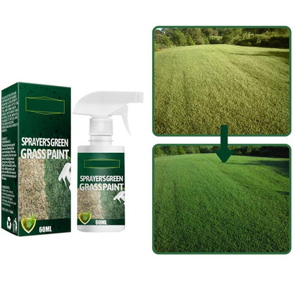 🔥Promoção de último dia: 50% de desconto🔥Tinta em spray «Grass»🌿✅