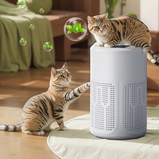 ⏰🔥50% DE DESCONTO! 🌬️ Purificador de ar doméstico compacto – Silencioso, energeticamente eficiente e perfeito para alergias, pó e pêlos de animais 🏠✨