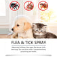 🍃 Spray natural contra pulgas e carraças para cães e gatos 🐾 Mantém o teu querido animal de estimação livre de parasitas 🐶🐱✨