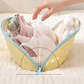 Portable Underwear Travel Organizer Bag
