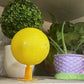 ⏰🎁Bola adesiva para apanhar moscas-da-fruta com suporte e LED