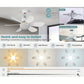 🔥Promoção - 73% de desconto - 🎁 Ventilador de teto portátil 2 em 1 com luz e comando à distância