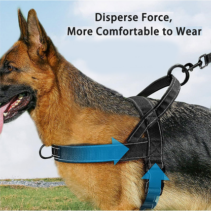 🥳PROMOÇÃO DE 2026🥳💞Mais de 50 mil unidades vendidas!🐕💪 50% DE DESCONTO! Arnês tático resistente para cães – sem puxões, sem estrangulamento. Faixas refletoras para passeios noturnos. Alça almofadada e de fácil manuseio. 🛡️✨