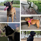 🥳PROMOÇÃO DE 2026🥳💞Mais de 50 mil unidades vendidas!🐕💪 50% DE DESCONTO! Arnês tático resistente para cães – sem puxões, sem estrangulamento. Faixas refletoras para passeios noturnos. Alça almofadada e de fácil manuseio. 🛡️✨