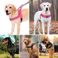 🥳PROMOÇÃO DE 2026🥳💞Mais de 50 mil unidades vendidas!🐕💪 50% DE DESCONTO! Arnês tático resistente para cães – sem puxões, sem estrangulamento. Faixas refletoras para passeios noturnos. Alça almofadada e de fácil manuseio. 🛡️✨