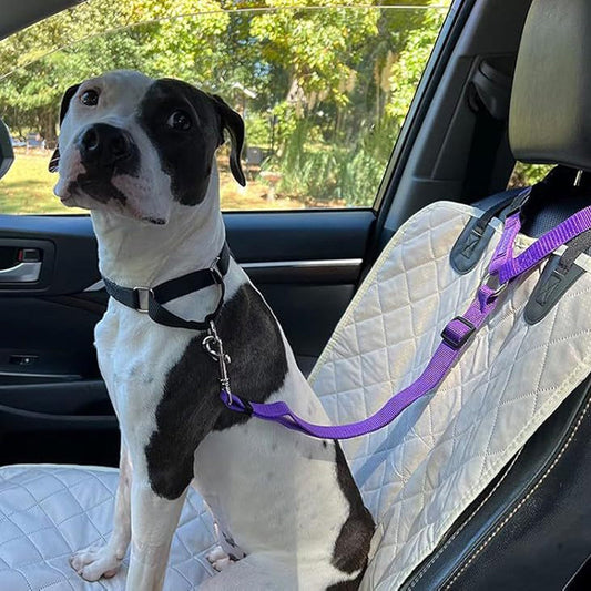 Cinto de segurança para cães e trela de passeio 2 em 1