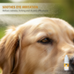 🏆LAST DAY BUY 2 GET 1 FREE!!🐕👁️Gentle Pet Eye Drops for Dogs & Cats | Neutral pH, No Burn Formula - Relieve Eye Inflammation, Clean Tear Stains & Refresh Pet Eyes