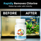 ⏰🔥50% OFF! 🌿 Instant Water Dechlorinator – Safe & Healthy Fish Tanks 🐠