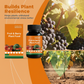 Fertilizante para frutas e bagas
