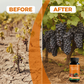 Fertilizante para frutas e bagas