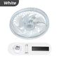 Luz com ventilador ajustável e silenciosa 2 em 1 com controlo remoto