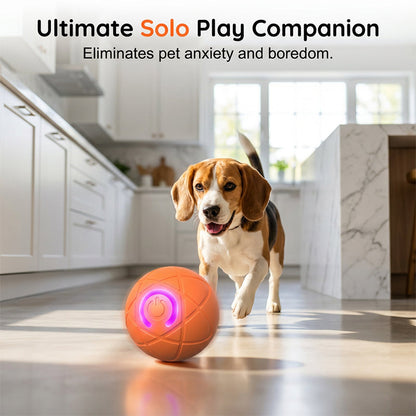 ⏰🔥DESCONTO DE 50% POR TEMPO LIMITADO!🔥Mais de 50 mil unidades vendidas!   🐾 BOLA INTELIGENTE PARA ANIMAIS DE ESTIMAÇÃO COM SALTO AUTOMÁTICO E CONTROLO REMOTO — 3 modos interativos | E-TPU resistente à mastigação | Recarregável por USB-C 🎾