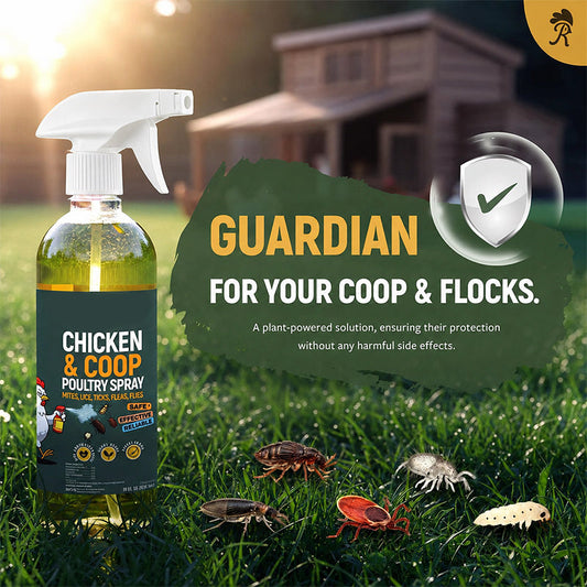 ⏳ ÚLTIMO DIA DA PROMOÇÃO: 50 % DE DESCONTO! 🔥 Spray de limpeza natural para galinheiros 🐔 Ajuda a eliminar a sujidade, a gordura e os odores | Fácil de usar e ideal para galinheiros
