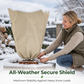 ❄️ Proteção contra a geada para plantas | Proteção para o jardim no inverno