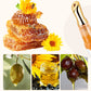Transparent Colorless Moisturizing Lip Plumping Essence