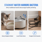 Automatic USB-Powered Pet Water Dispenser